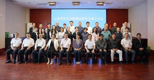 重庆坤源衡泰（昆明）律师事务所马军、师玥凌律师当选研究会理事