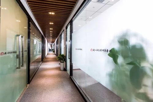 宁波市律师协会与律师事务所概览